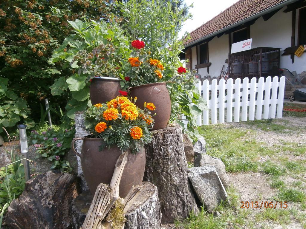 Straznica Komtura Apartment Mikołajki Exterior foto