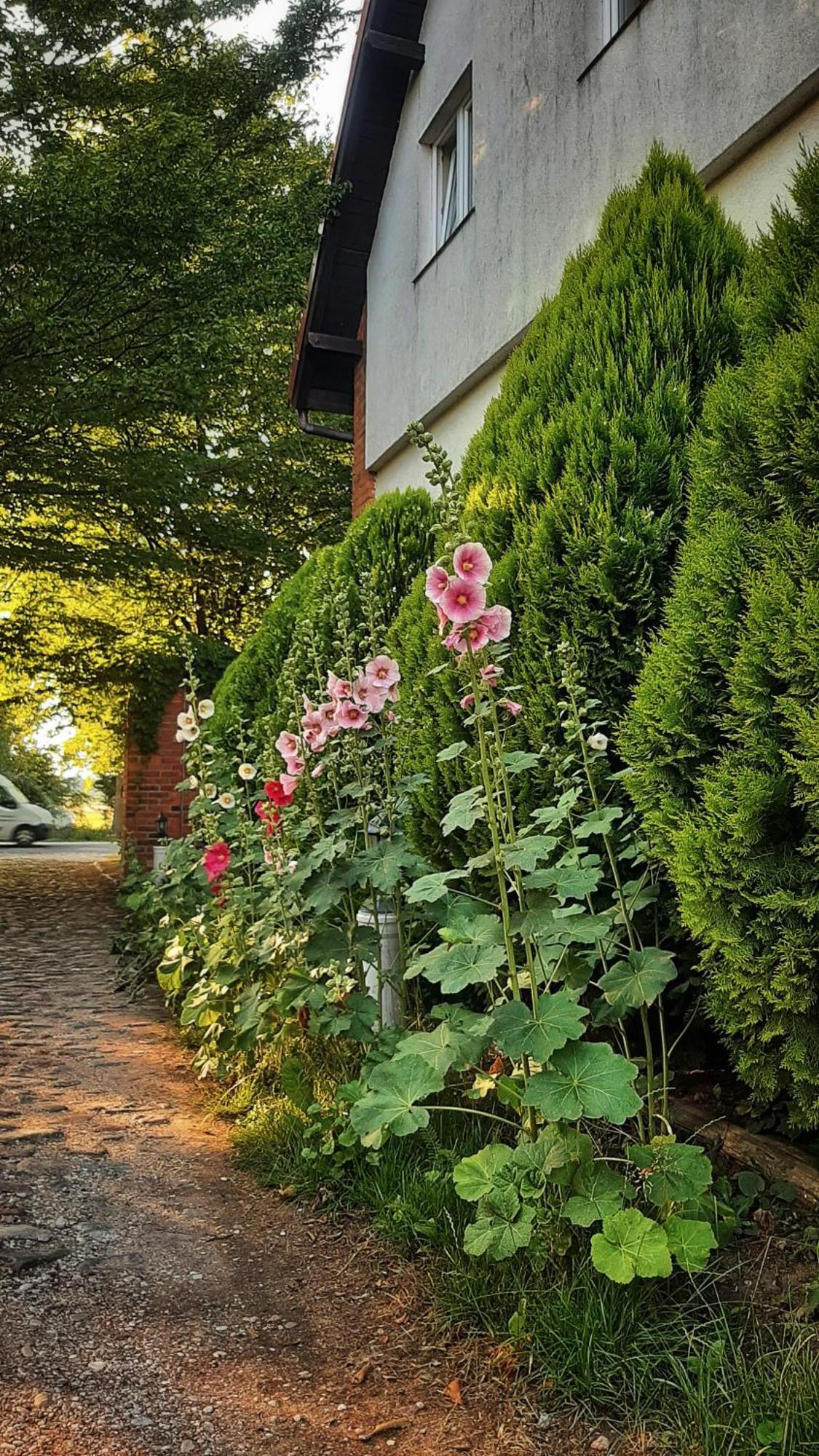 Straznica Komtura Apartment Mikołajki Exterior foto